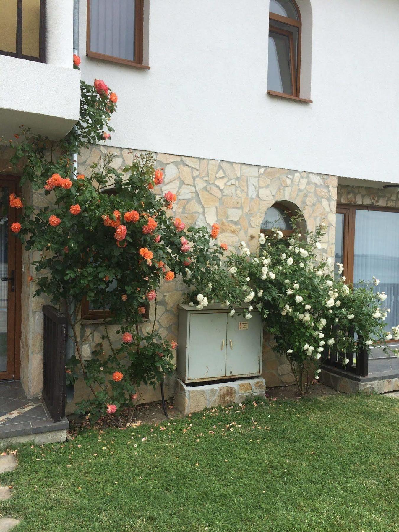 Tsb Sun Coast Apartments Sweti Wlas Exterior foto